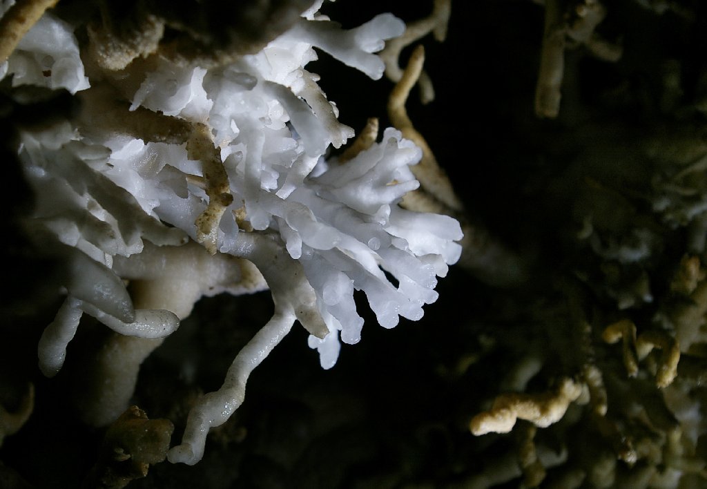 looking down to the light 